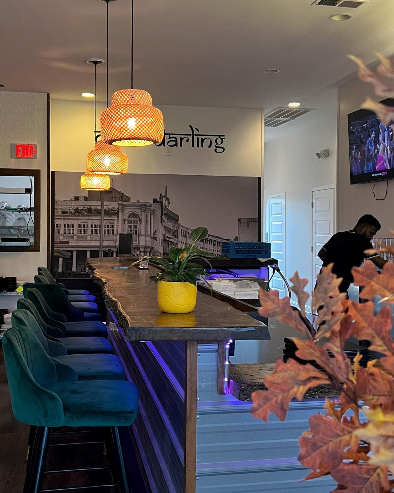 Delhi Darling, Surf City